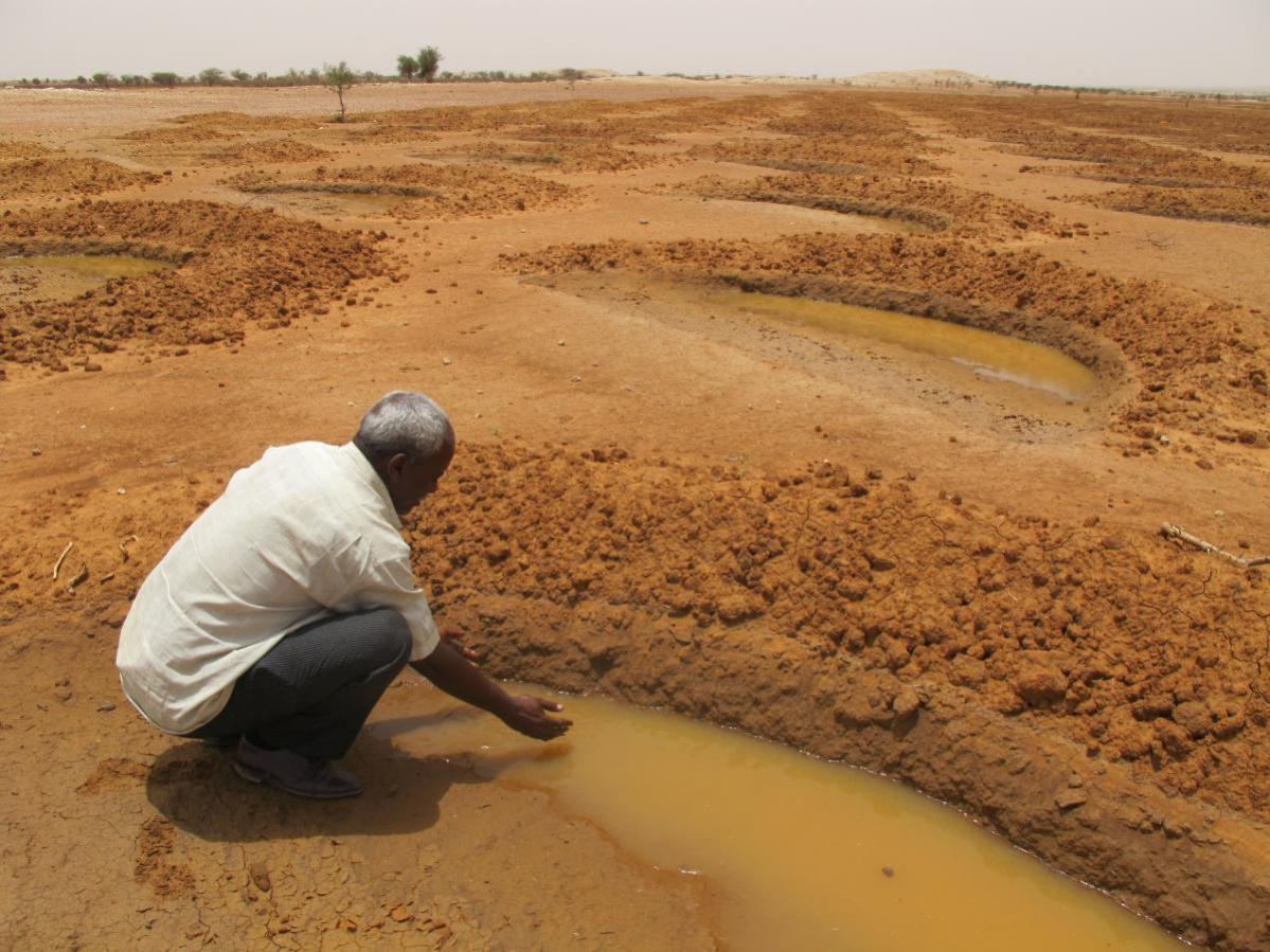 causas-cambio-climatico