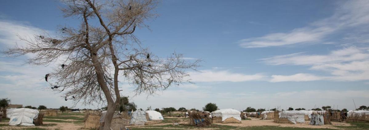 consecuencias cambio climatico paises pobres compressed