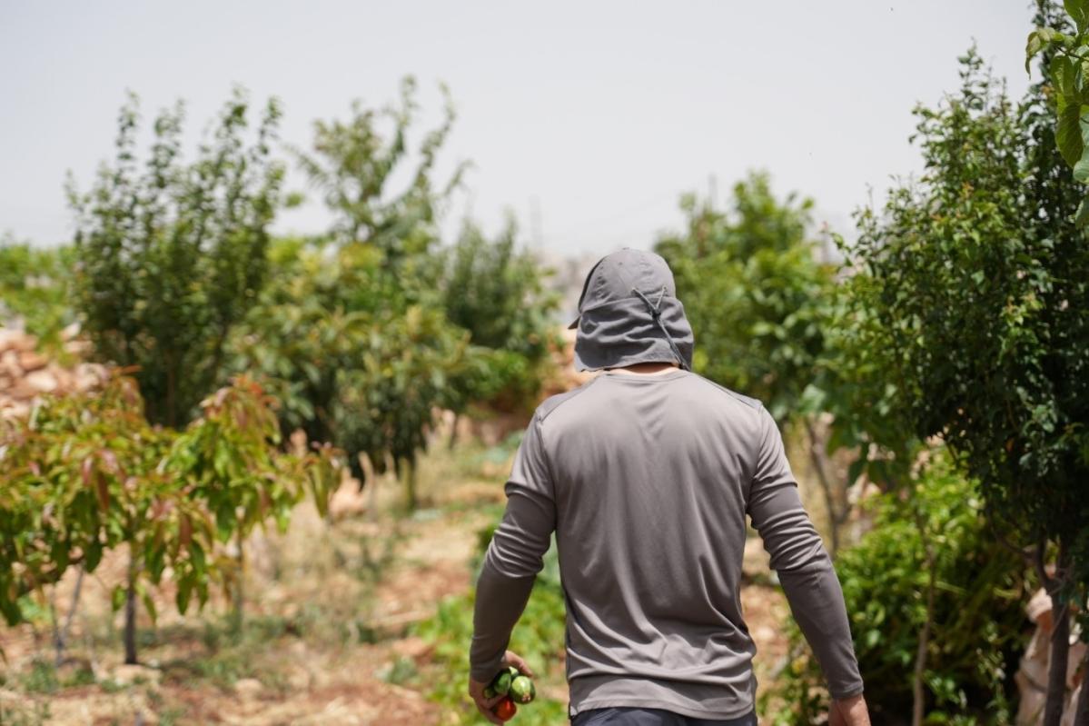 un joven palestino con sudadera gris camina por sus tierras agrícolas en Cisjordania